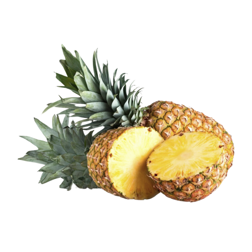 Piña del Monte tropical